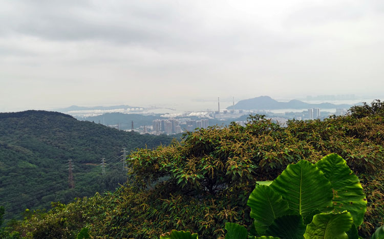 激揚(yáng)青春、奮勇攀登登山活動(dòng)